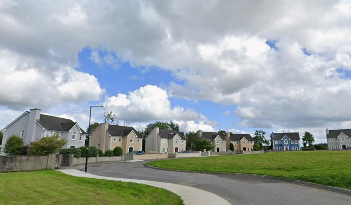 Plans submitted for seven-home development in South Leitrim town