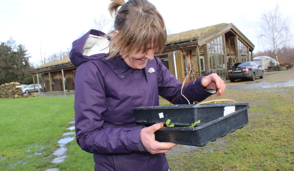 Leitrim gardeners invited to learn how to grow from scratch at one-day course