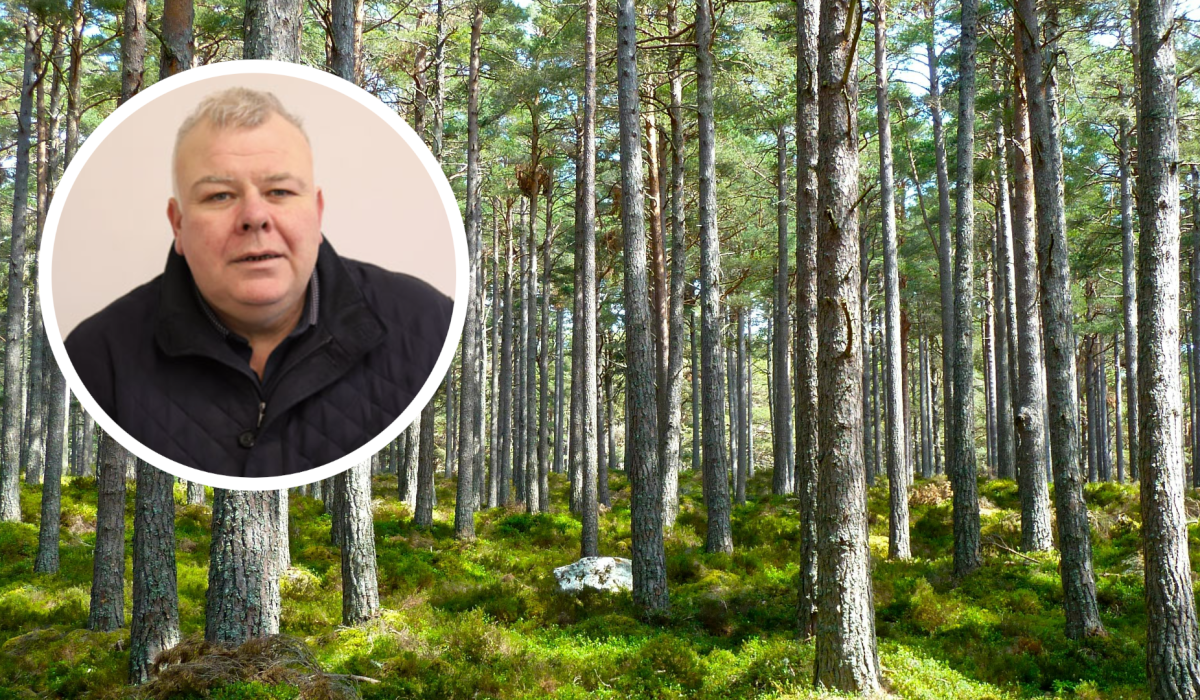 Anger mounts over presence of ‘forestry vultures’ from the UK across Leitrim