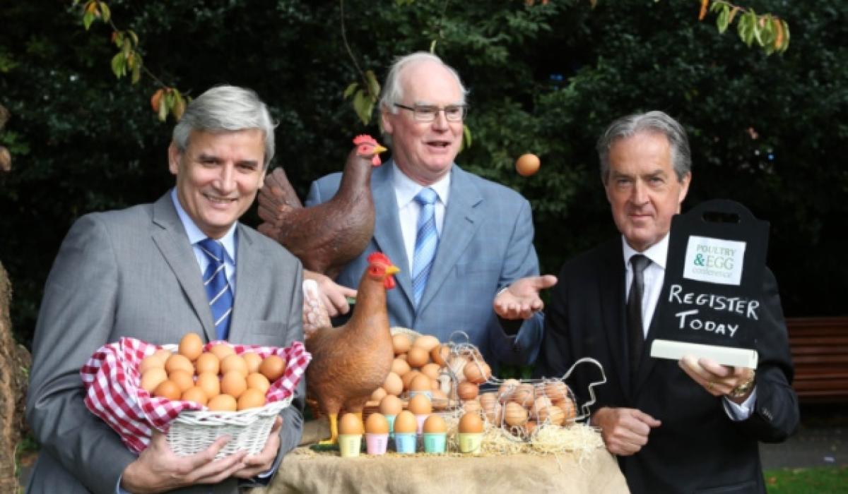 Calling all poultry and egg producers Leitrim Live