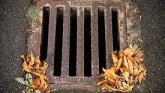 McGowan calls for additional street gullies in Dromod