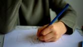 There needs to be a special school established for children in Leitrim, Sligo/Leitrim TD