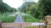 Leitrim unites for Alzheimer's memory walk in Cloone
