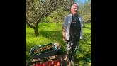 Leitrim’s Organic Centre gears up for 30th Apple Day with record harvest