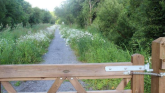 MEP Calls for EU Dementia research mission ahead of Leitrim Alzheimer’s Memory Walk this weekend