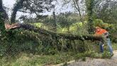 Customers in Leitrim to remain without power until tomorrow evening following Storm Amy damage