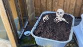 Samhain at Leitrim Organic Centre returns next week