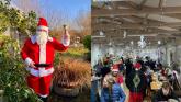 Celebrate a sustainable Christmas at Leitrim’s Organic Centre