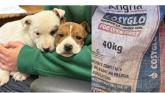 'Inhumane' - Huge anger after two puppies left in coal bag on busy Leitrim road