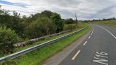 Overgrown trees prompt safety concerns on national road in Leitrim