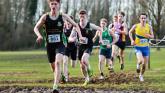 Lyons brothers top ten finish in 123.ie All-Ireland Schools Cross country