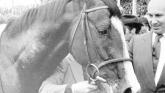 Ballinamore, Leitrim mentioned as possible burial site in Shergar Documentary