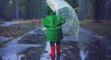 ALERT: Met Eireann urge caution amid weather warning for three counties