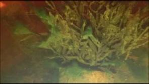 Just some of the rubbish discovered during a recent underwater survey by Leitrim Sub Aqua Club and Carrick-on-Shannon Tidy Towns