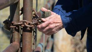 IFA to launch farm security check-up at Ploughing