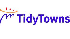 Dromod wins Co Leitrim's tidiest town