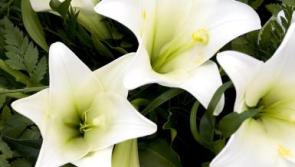 Recent deaths in the Leitrim area