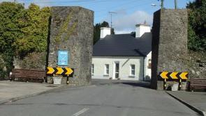 Jamestown's community garden, bird boxes and town trail signage to the liking of Tidy Towns adjudicator