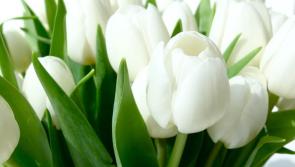 Recent deaths in the Leitrim area