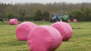 Pink Bales initiative raises €8,000 for Breast Cancer Ireland