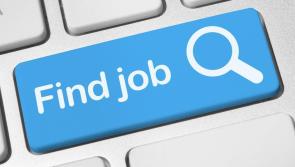 Looking for work?