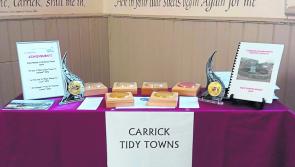 Help Carrick Tidy Towns to achieve even more success