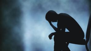 41% increase in students seeking counselling 