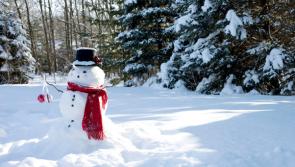 OBSERVER POLL: So do you think we'll be having a white Christmas?