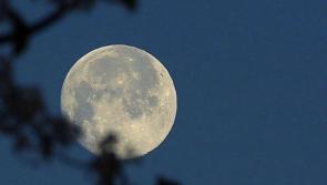Can you see the Super Moon over Leitrim?