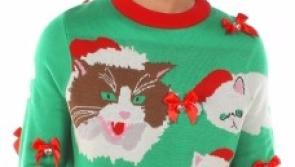 Hold a Christmas jumper day in Leitrim