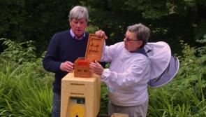 UTV Ireland showcases Drumshanbo