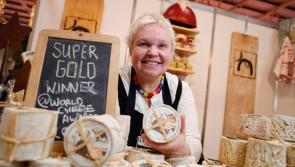 Belturbet cheese scoops super gold