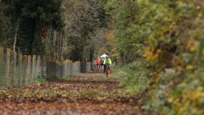 Dromahair Greenway showcased on TG4