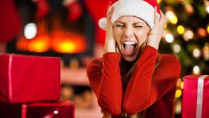 The Christmas House Guest Survival Guide