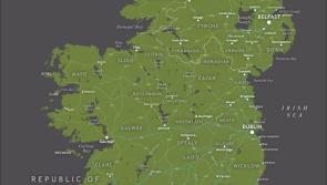 3 out of 4 Leitrim TDs support a United Ireland