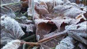 Loving Christmas in Leitrim - Part 3 