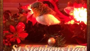 Whats on in Leitrim  St Stephen's Day