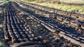 "Winning turf" in Leitrim 