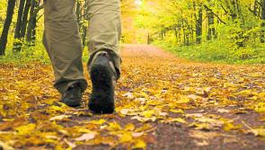 Unprecedented number of adults participating in sport and recreational walking