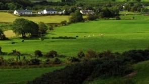 Irish agricultural land prices look to be rebounding