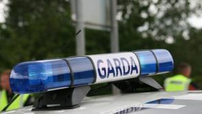 Man dies in Longford in suspected hit and run
