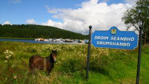 Traffic calming sought for Drumshanbo road with 'sad history'