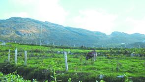 13% of North West GLAS farmers still waiting on final payment