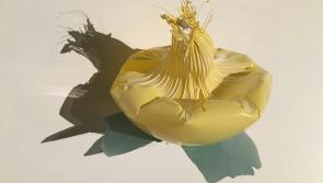 'A Bounce Borrowed' Carrick-on-Shannon exhibition