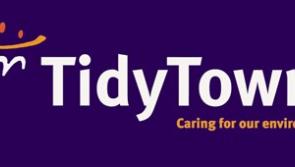 Tidy Towns event