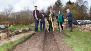 21st Annual Potato Day at The Organic Centre