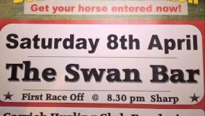 Carrick Hurling Club Race Night
