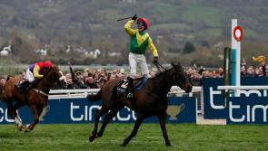 THE PUNTER'S EYE: 'Supasundae' upset on the cards for Harrington 
