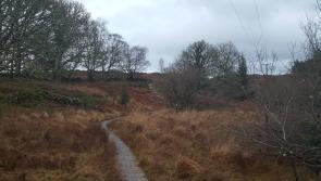 Video: Slish Wood to Dromahair walk looks stunning in drone video