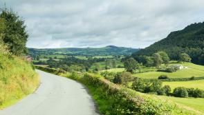 GEM offers advice for staying safe on rural roads
